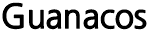 Marca Guanacos Pastas e Bolsas